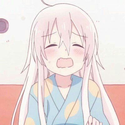 300元1次的宠物健身先把狗卷疯了